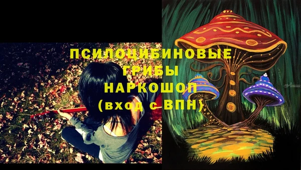 каннабис Абинск