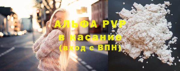 стаф Абаза