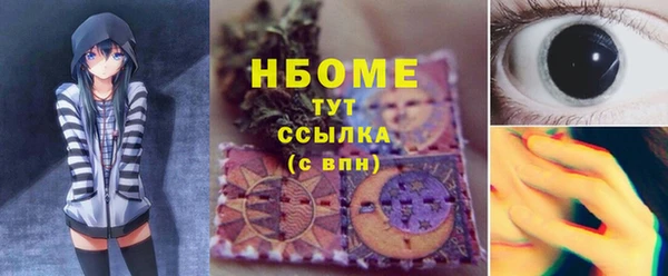 ПСИЛОЦИБИНОВЫЕ ГРИБЫ Каменка