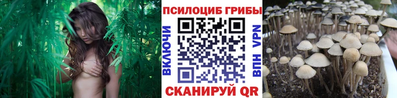 Псилоцибиновые грибы прущие грибы  Альметьевск 